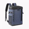 Double Shoulder Thermal Insulation Backpack for Outdoor Picnic  - Blue - Picnic Backpack