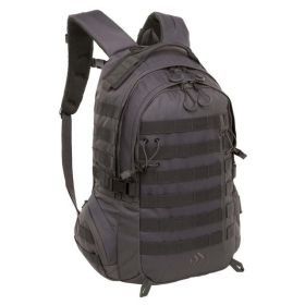 uest 29 L Backpack, Gray, Adult, Teen, Polyester - Gray